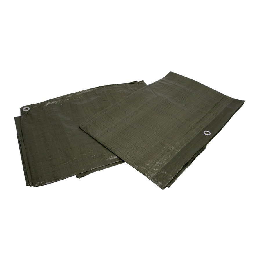 TRITOOLS Zakrývací plachta PE s oky zelená 70g/m2 | 2x2 m